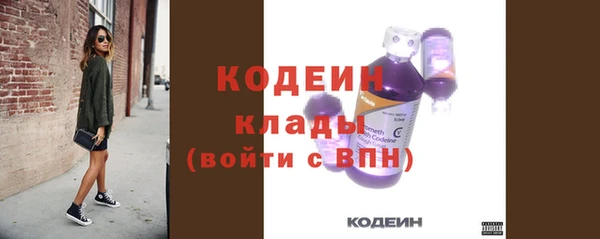 дмт Заводоуковск