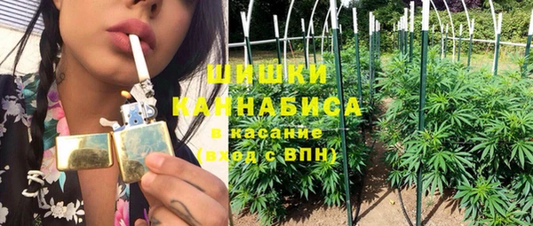 дмт Заводоуковск