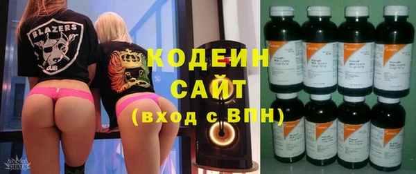 дмт Заводоуковск