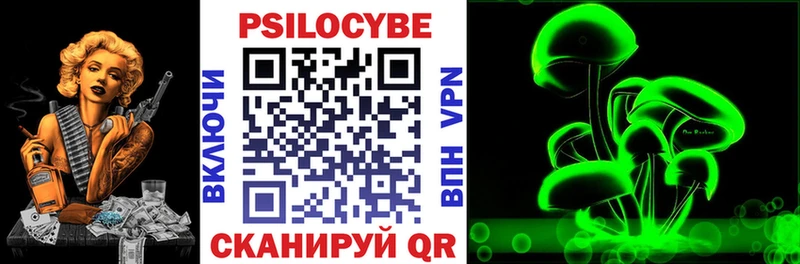 Купить  Нововоронеж  Галлюциногенные грибы Psilocybine cubensis 